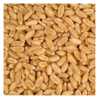 Country Heritage Organic Whole Wheat Grain for Poultry 20kg  image