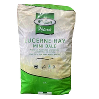 Green Valley Naturals Lucerne Hay Mini Bale for Rabbits & Guinea Pigs 22L image