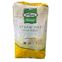 Green Valley Naturals Straw Hay Mini Bale for Small Animals & Chickens 22L image