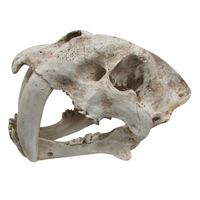 URS Ornament Sabre Tooth Skull Reptile Enclosure Accessory image