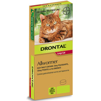 Drontal Tablet Allwormer for Large Cats & Kittens 6kg - 2 Sizes image