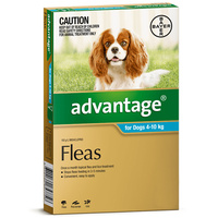 Advantage Medium Dog 4-10kg Teal Spot On Flea Treatment - 3 Sizes image