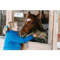 Is It Bad to Give Your Horse Treats?
