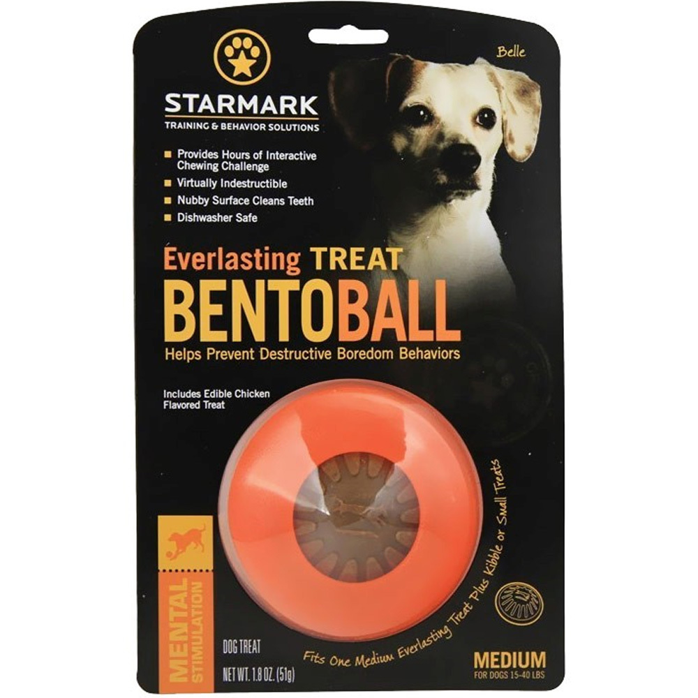 Starmark Everlasting Treat Bento Ball Dog Chew Toy Large