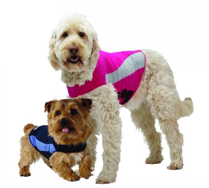 Thundershirt australia sale