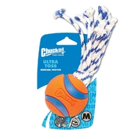 Chuckit Fetch Games Ultra Toss Interactive Play Dog Toy Medium image